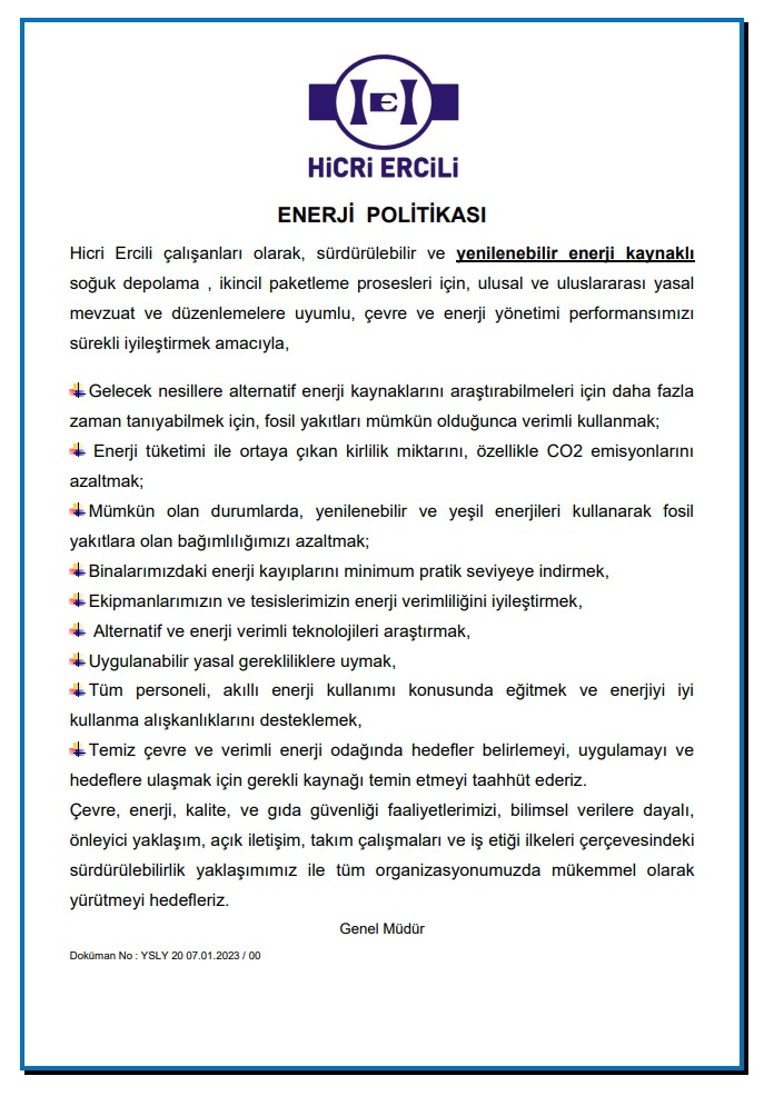 Enerji Politikası